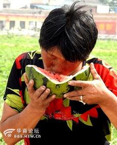 吃瓜老太太特效,趣味横生的网络现象