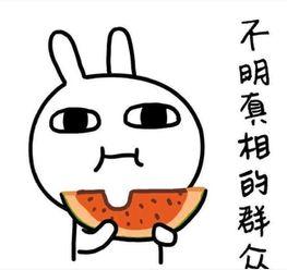 姐姐瓜地吃瓜的文案搞笑,姐姐的吃瓜日常，笑料百出！