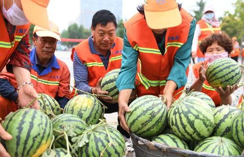 郯城水边吃瓜,夏日休闲新体验