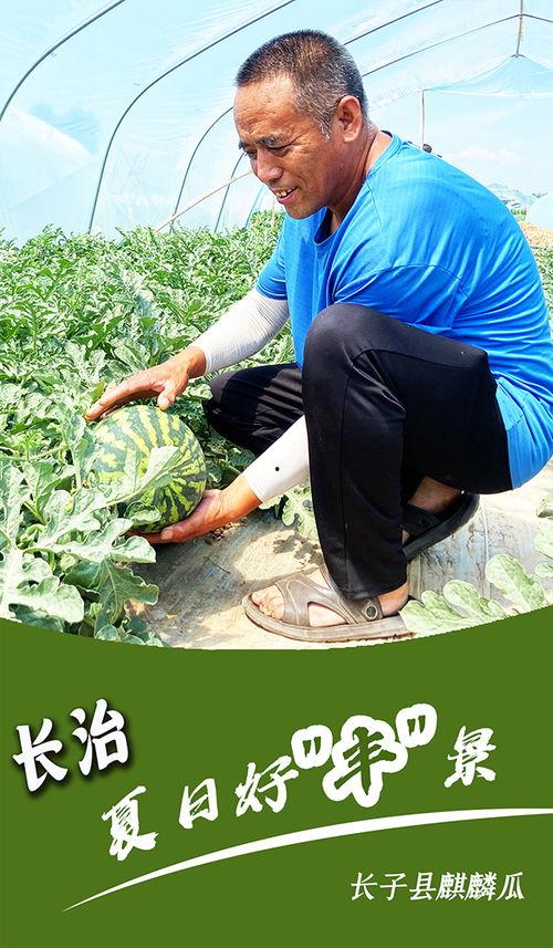 吃瓜长治,揭秘网络热点的背后故事