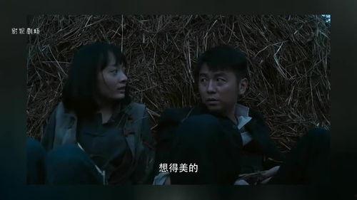 白灵吃瓜,揭秘娱乐圈背后的秘密与八卦