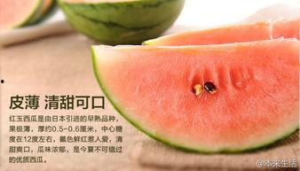 吃瓜挑战涨粉,揭秘网红新玩法！