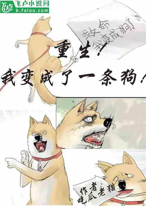 退休吃瓜的小说