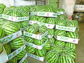 武汉卓尔吃瓜,揭秘足球圈幕后风云