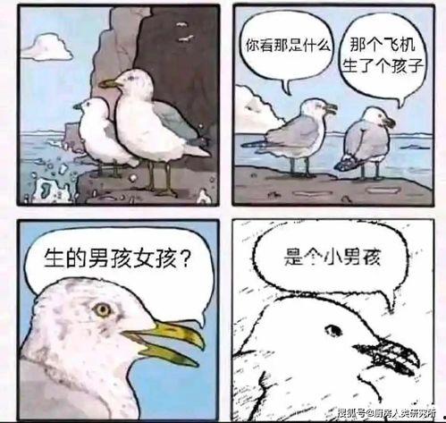 吃瓜不给钱欺负卖瓜老农,吃瓜不给钱，谁在欺负卖瓜老农？