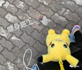 影子照片吃瓜,揭秘影子照片背后的秘密与趣味