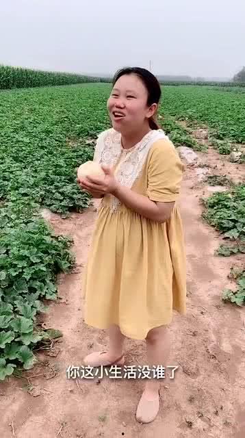 吃瓜小孕妇小说,揭秘吃瓜小孕妇的甜蜜生活