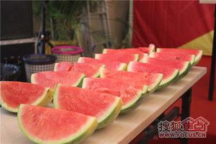 周末吃瓜现场,揭秘娱乐圈幕后风云