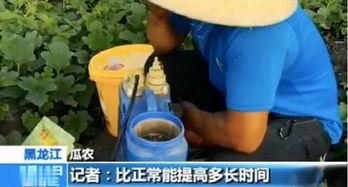 吃瓜群众曝光,揭秘娱乐圈幕后真相